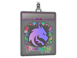 Sticker Slab | Team Spirit (Holo) | Budapest 2025