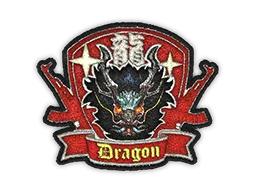Patch | Dragon CS2 skin