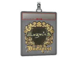 Sticker Slab | Ex3rcice (Gold) | Budapest 2025