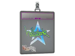 Sticker Slab | hallzerk (Holo) | Paris 2023