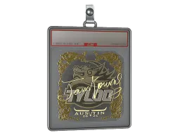 Sticker Slab | JamYoung (Gold) | Austin 2025