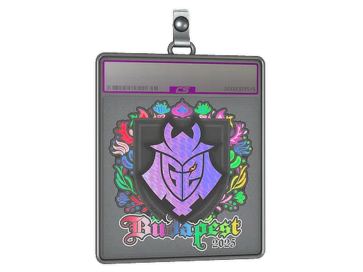 Sticker Slab | G2 esports (Holo) | Budapest 2025