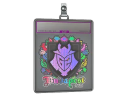 Sticker Slab | G2 esports (Holo) | Budapest 2025