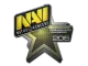 Sticker | Natus Vincere | Cluj-Napoca 2015 CS2 skin