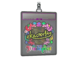 Sticker Slab | xKacpersky (Holo) | Budapest 2025