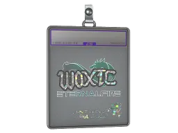 Sticker Slab | woxic (Glitter) | Antwerp 2022
