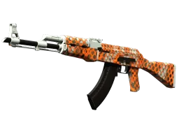 AK-47 | Safety Net (Factory New)