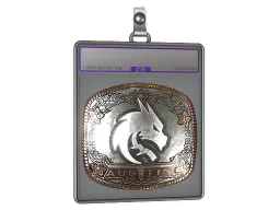 Sticker Slab | Team Spirit (Foil) | Austin 2025