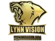 Sticker | Lynn Vision (Gold) | Copenhagen 2024 CS2 skin