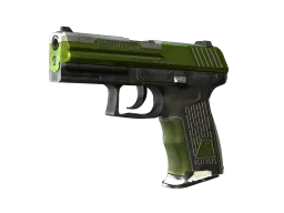 P2000 | Turf (Battle-Scarred)