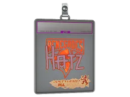 Sticker Slab | hatz (Holo) | Antwerp 2022
