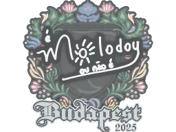 Sticker | molodoy | Budapest 2025