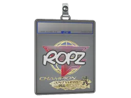 Sticker Slab | ropz (Champion) | Antwerp 2022