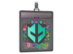 Sticker Slab | Imperial Esports (Holo) | Budapest 2025