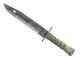 ★ Bayonet | Stained CS2 skin