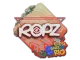 Sticker | ropz | Rio 2022 CS2 skin