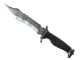 ★ Bowie Knife | Stained CS2 skin