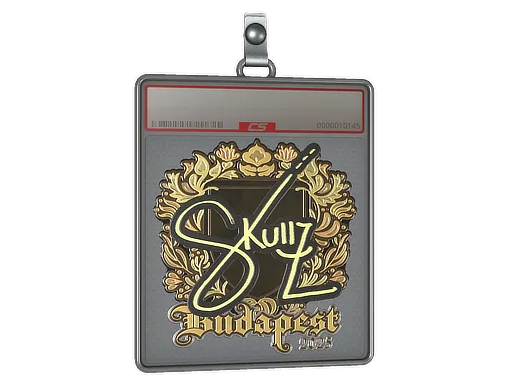 Sticker Slab | skullz (Gold) | Budapest 2025