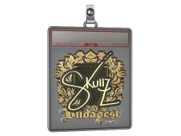 Sticker Slab | skullz (Gold) | Budapest 2025