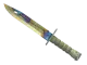 ★ Bayonet | Case Hardened CS2 skin