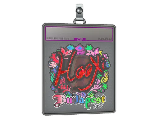 Sticker Slab | HooXi (Holo) | Budapest 2025