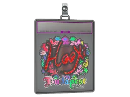 Sticker Slab | HooXi (Holo) | Budapest 2025