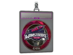 Sticker Slab | Winstrike Team (Foil) | Katowice 2019