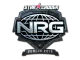 Sticker | NRG | Berlin 2019 CS2 skin