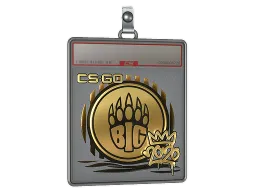 Sticker Slab | BIG (Gold) | 2020 RMR