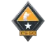 Tactics Pin CS2 skin