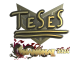 Sticker | TeSeS (Gold) | Shanghai 2024