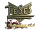 Sticker | TeSeS (Gold) | Shanghai 2024 CS2 skin