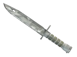 ★ StatTrak™ Bayonet | Urban Masked (Field-Tested)