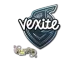 Sticker | vexite | Paris 2023 CS2 skin