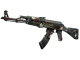 AK-47 | Rat Rod CS2 skin