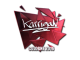 Sticker | karrigan | Cologne 2016 skin