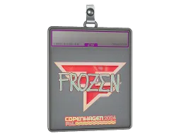Sticker Slab | frozen (Holo) | Copenhagen 2024