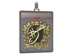 Sticker Slab | siuhy (Gold) | Budapest 2025