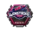 Sticker | Winstrike Team | London 2018 CS2 skin