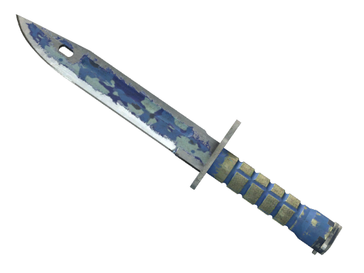★ Bayonet | Bright Water (Battle-Scarred)