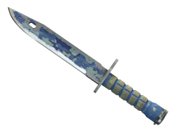 ★ Bayonet | Bright Water (Battle-Scarred)