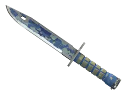 ★ Bayonet | Bright Water (Battle-Scarred)