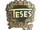 Sticker | TeSeS (Gold) | Budapest 2025 CS2 skin