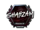 Sticker | ShahZaM | London 2018 CS2 skin
