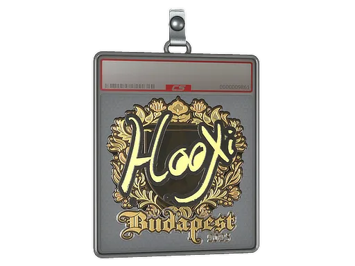 Sticker Slab | HooXi (Gold) | Budapest 2025