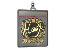 Sticker Slab | HooXi (Gold) | Budapest 2025