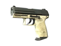 P2000 | Ivory CS2 skin