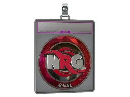 Sticker Slab | NRG (Foil) | Katowice 2019