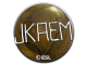 Sticker | jkaem | Katowice 2019
