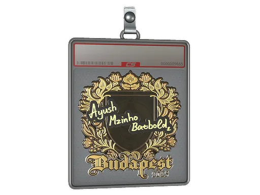 Sticker Slab | mzinho (Gold) | Budapest 2025